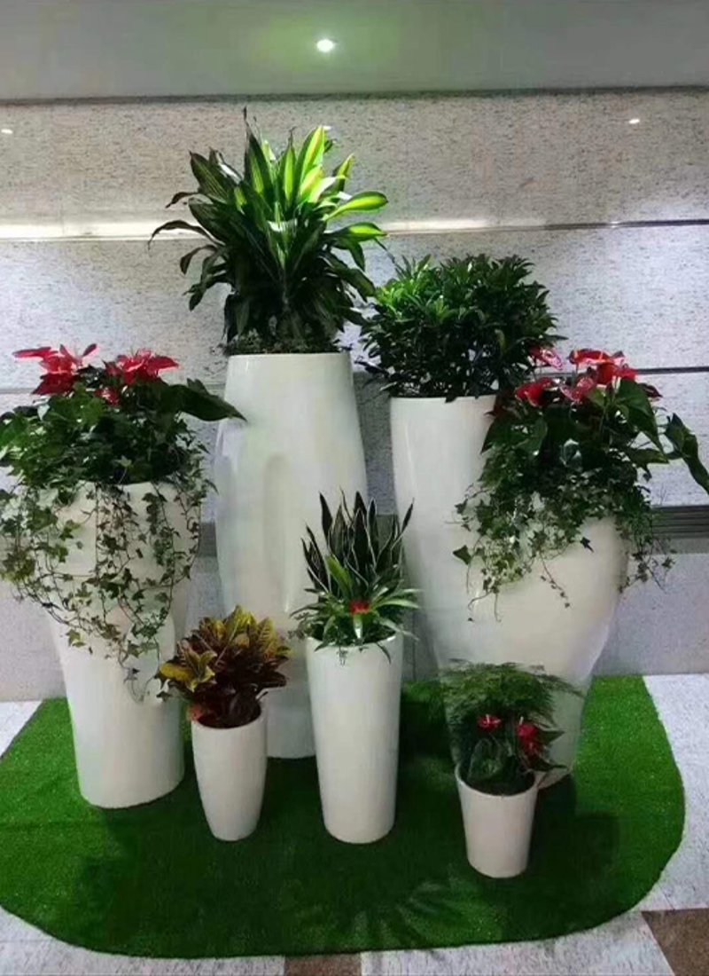 如何让您的花束以最佳状态送达？我们来详细解析花束配送的奥秘。