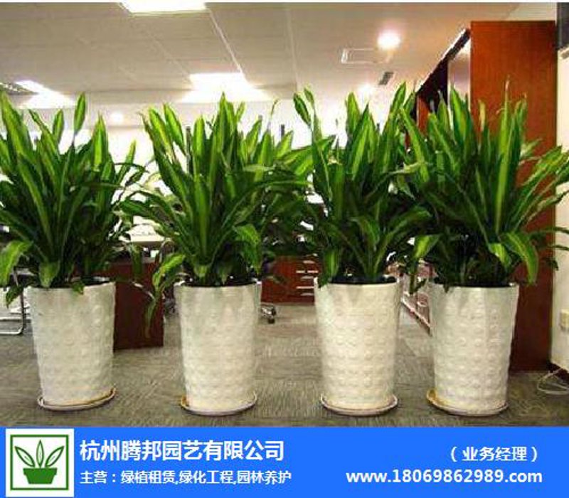 在纷繁的市场中，如何选择一家值得信赖的包月鲜花服务商？本文将通过对比分析，帮助您找到心仪的合作伙伴。