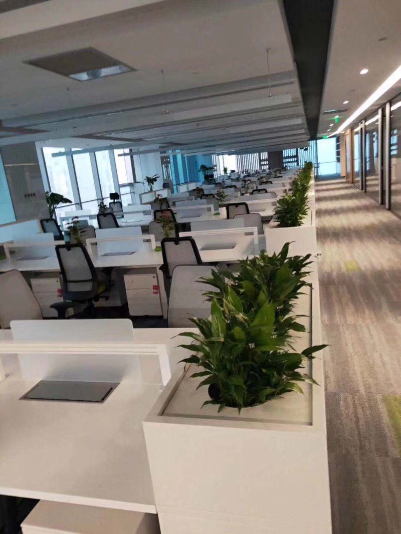 在繁忙的都市生活中，为办公室或家居添置一份清新自然之选——包月鲜花订阅服务越来越受到人们的青睐。面对琳琅满目的选择，如何挑选一个靠谱的供应商成为了一个问题。本文将通过对比评测的方式，帮助您找到最适合您的包月鲜花供应商。